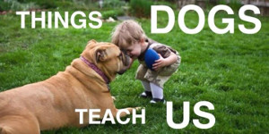 dog-teach