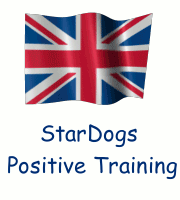 Stardogs