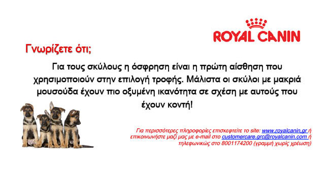 royal-01