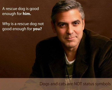 clooney