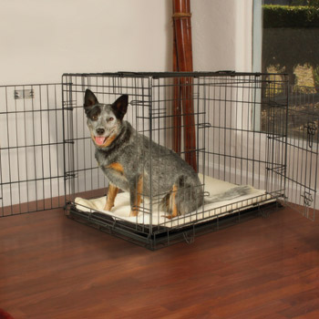 dog crates