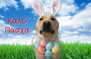 easter_dog