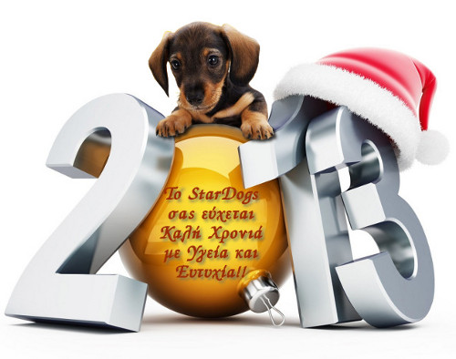 stardogs-happy-new-year